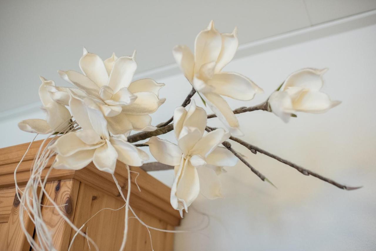 B&B Molenaar Buren  Εξωτερικό φωτογραφία